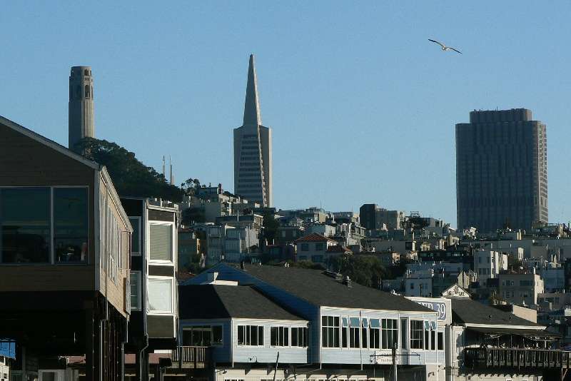 40 Pier 39 SAN FRANCISCO